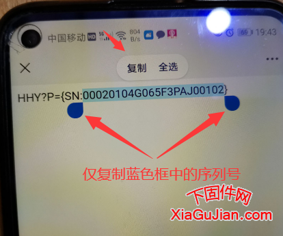 仅复制蓝色部分的乐橙设备序列号
